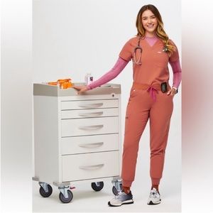 LIMITED EDITION RARE FIGS Terracotta Catarina Scrub top